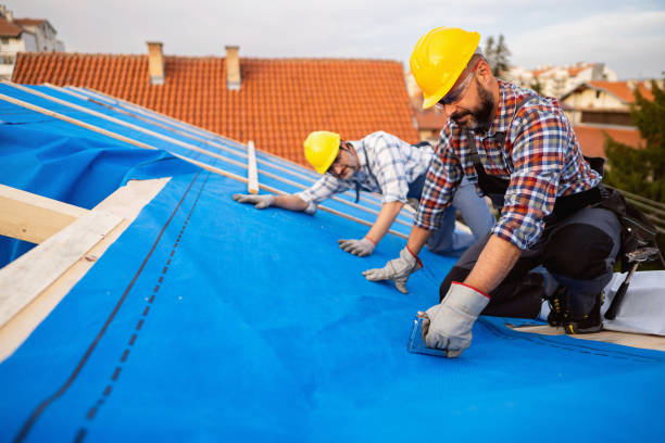 Best Storm Damage Roof Repair  in Georgetown, KY