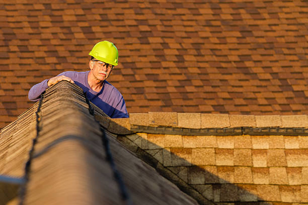 Best Roof Gutter Cleaning  in Georgetown, KY